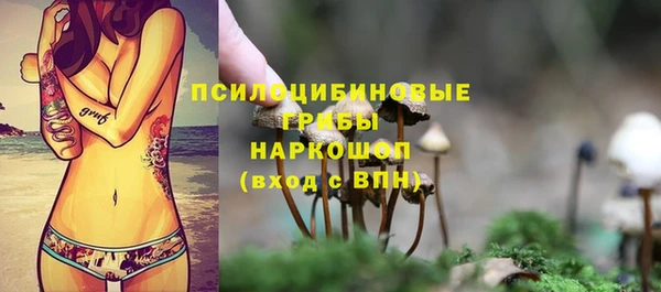 стаф Абдулино