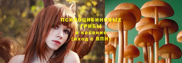 стаф Абдулино