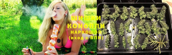 стаф Абдулино