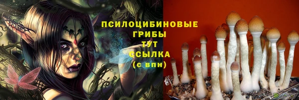 соль ск Абинск