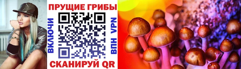 площадка какой сайт Благовещенск Галлюциногенные грибы ЛСД