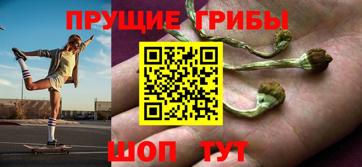 Псилоцибиновые грибы ЛСД  купить  сайты  Благовещенск  Вход с VPN 