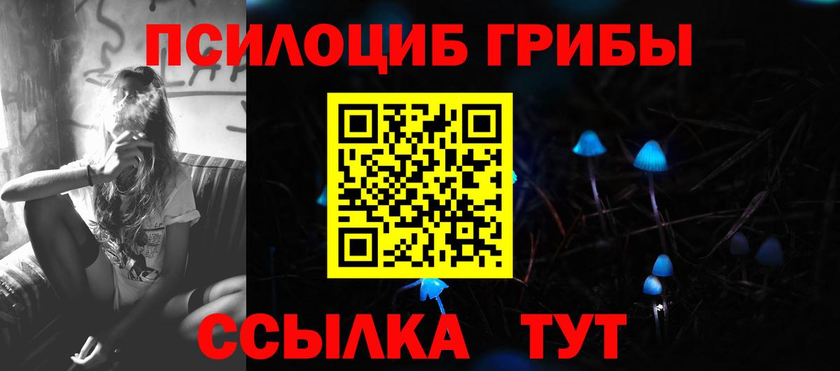 Галлюциногенные грибы прущие грибы Благовещенск
