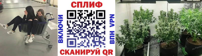 hydra ССЫЛКА  Благовещенск  Шишки марихуана THC 21%  купить наркотик 